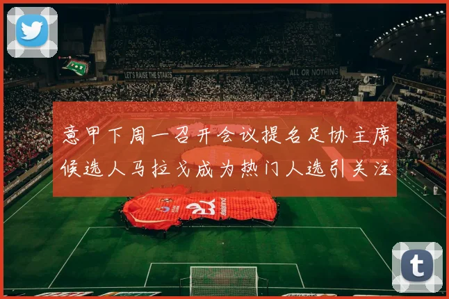 意甲下周一召开会议提名足协主席候选人马拉戈成为热门人选引关注