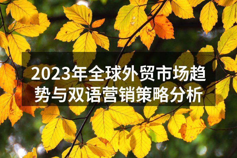 2023年全球外贸市场趋势与双语营销策略分析